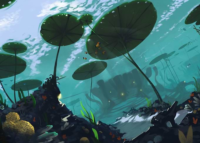 A view of the underwater s