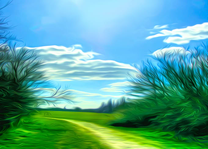 A walk in Rimrose Valley c