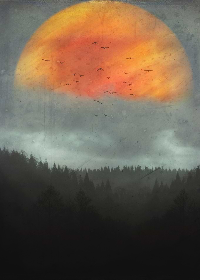 Spaces XVI - Fireball Moody forest with a big orange s ...