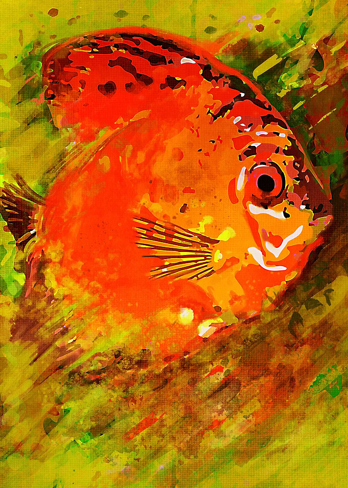 Fish