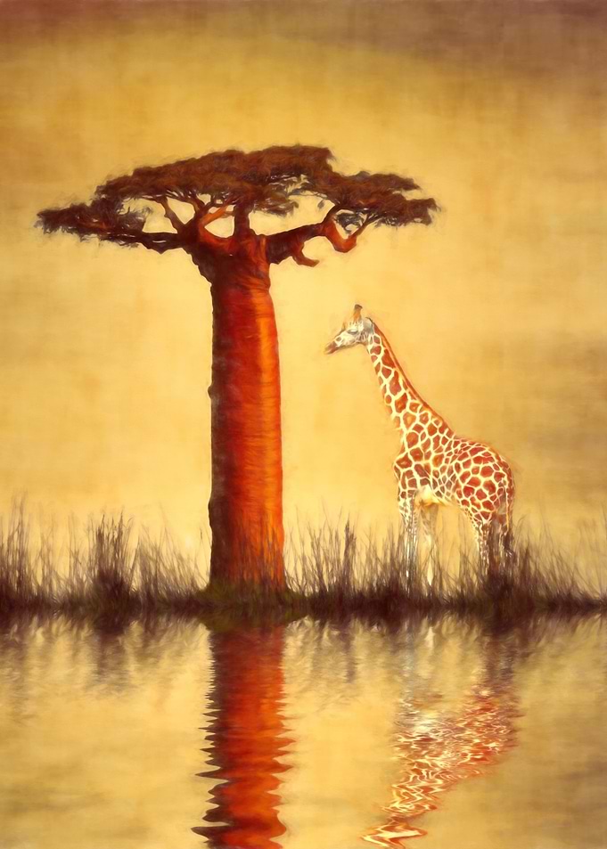 Image compilation used to create this beautiful African ...