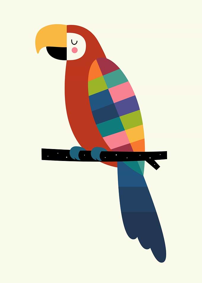 Rainbow Parrot - Let’s create your own colour palette w ...