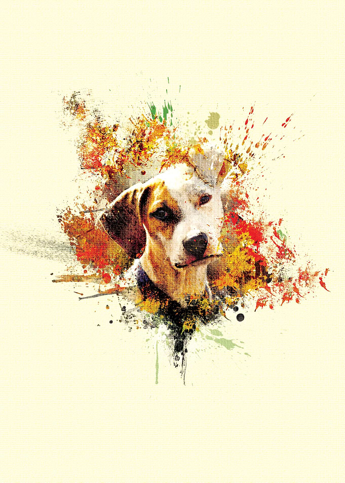 An adorable sad dog painted with colorful paint splashe ...