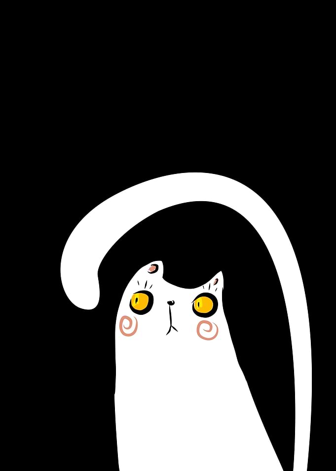 Dark Night White Cat