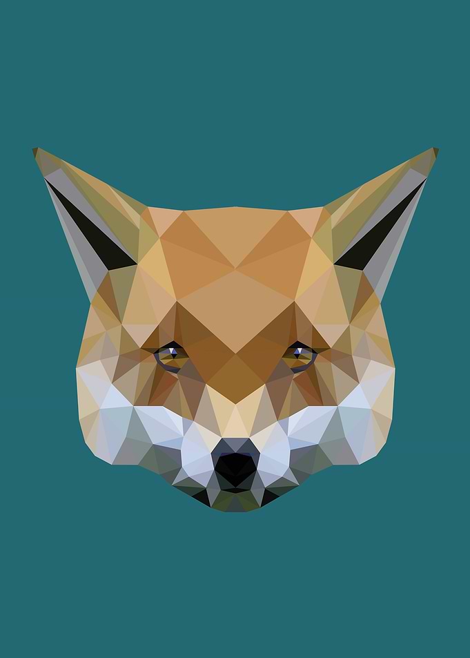 Poly fox
