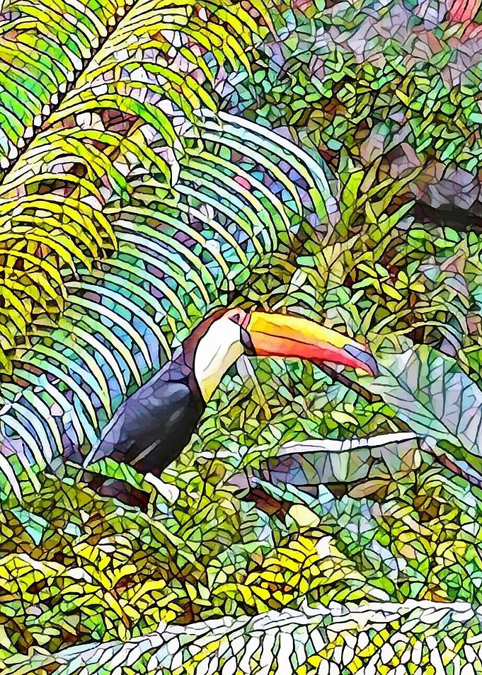 Toucan at the San Diego Zoo.