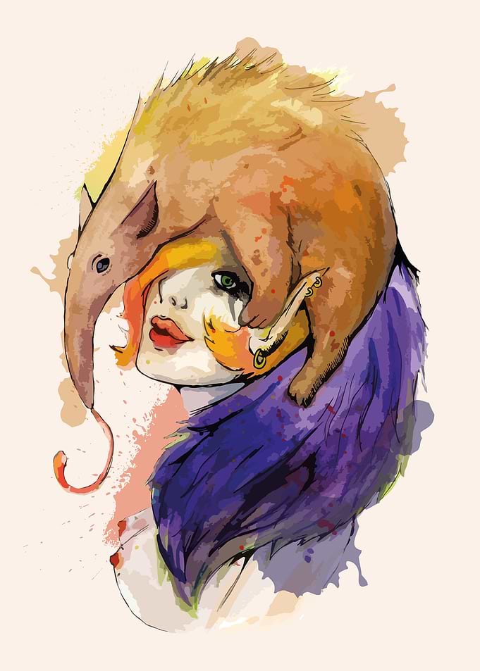 Lady Anteater