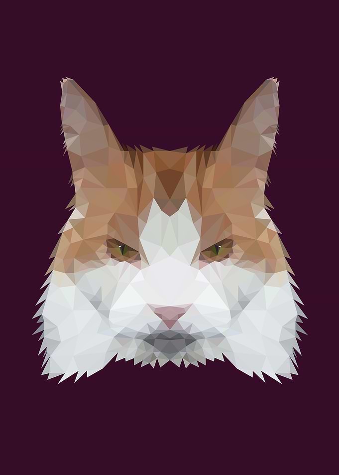 Poly cat. Meow.