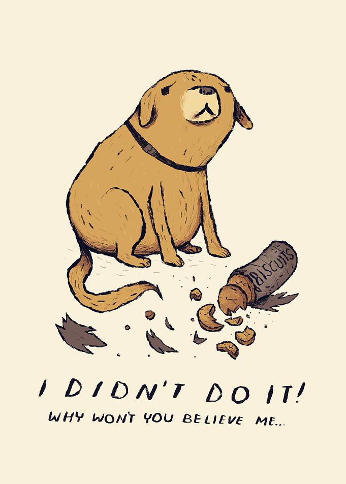 a guilty dog.