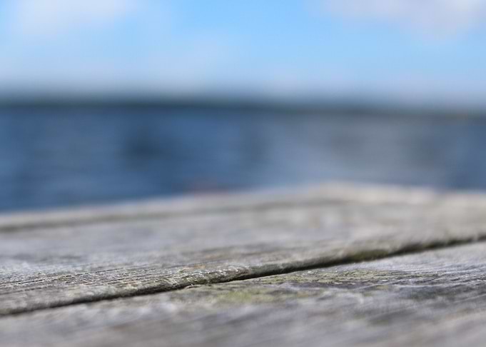 Macro photography at the baltic sea at the island of Ny ...