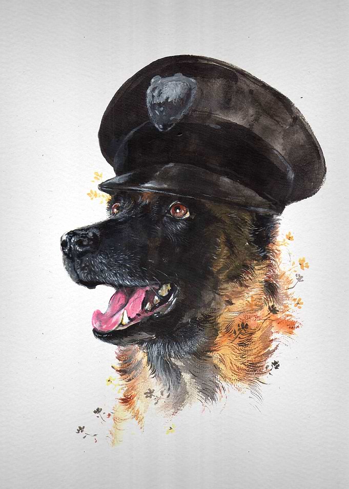 man's best friend