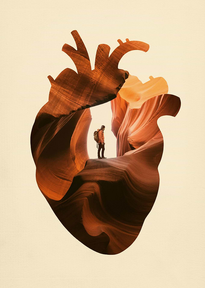 Heart Explorer