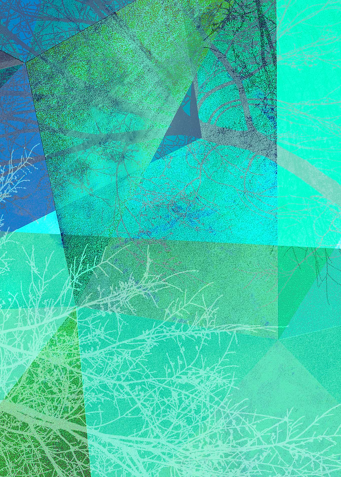 P19-B-3 TREES AND TRIANGLE