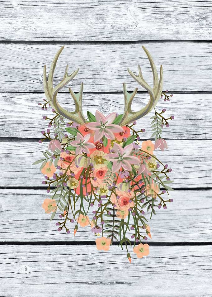 flowers illustration