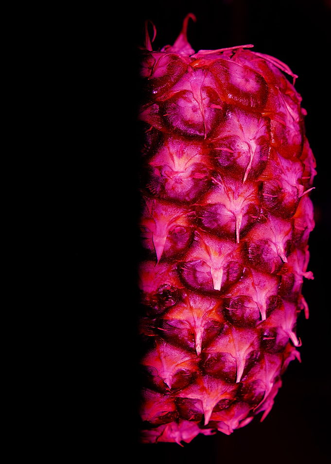 This is an abstract photography of a pineapple.