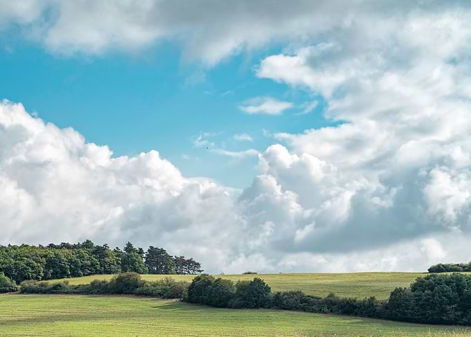 The Clouds Have It