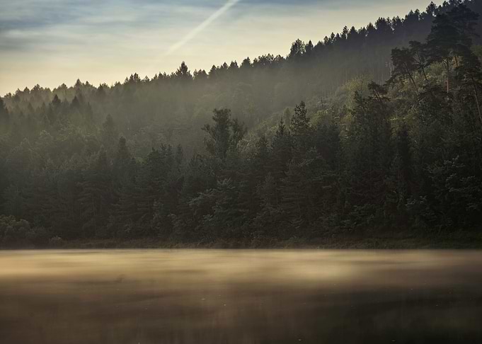 Mist on the lake