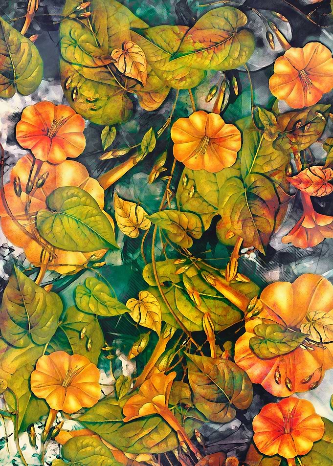 flowers