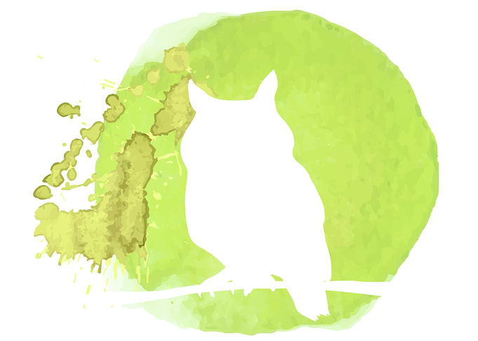 Owl Watercolor
