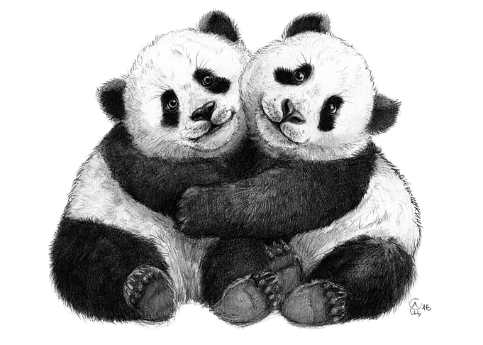 Panda Hugs G143 by Svetlana Ledneva-Schukina graphite ...