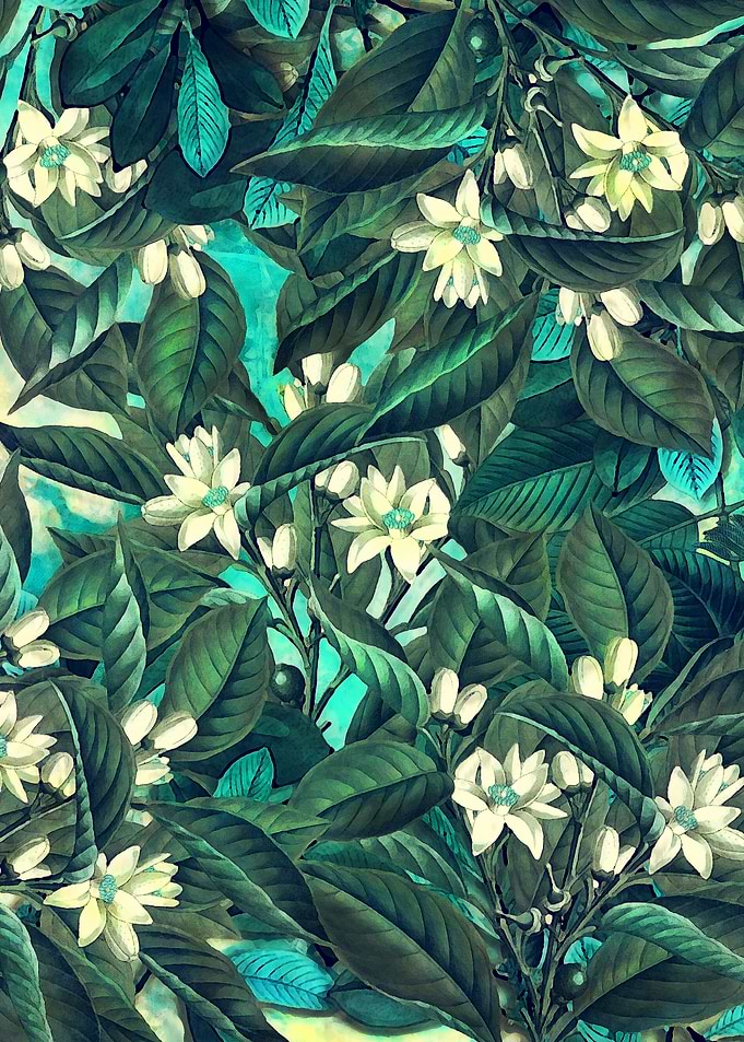 White flowers