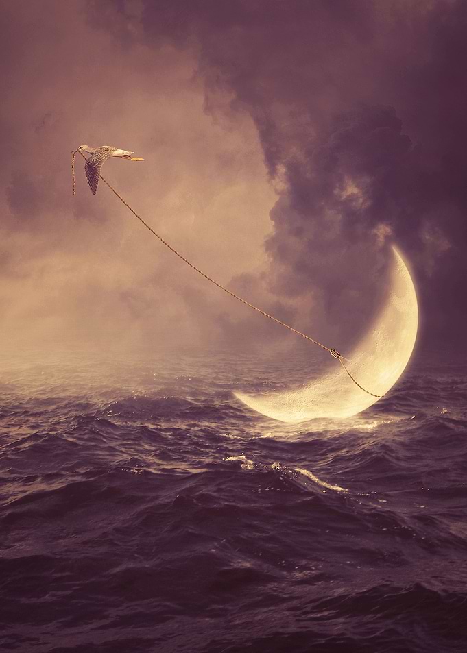 Savior of the moon