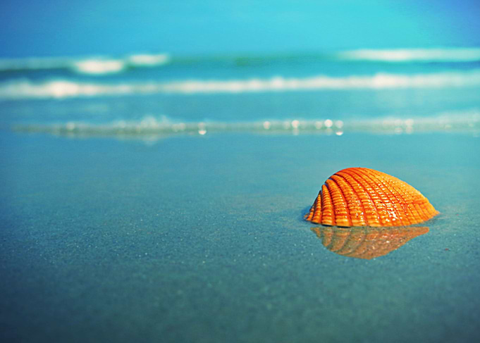 Blue Shell