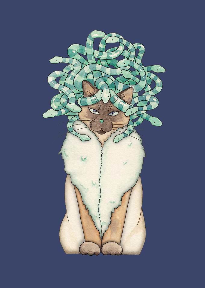 Medusa Cat