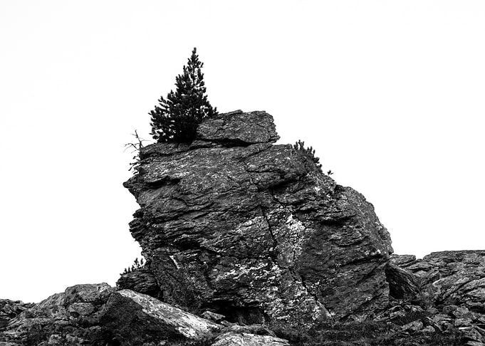 Bravery | Photography, Nikon D750, 2016