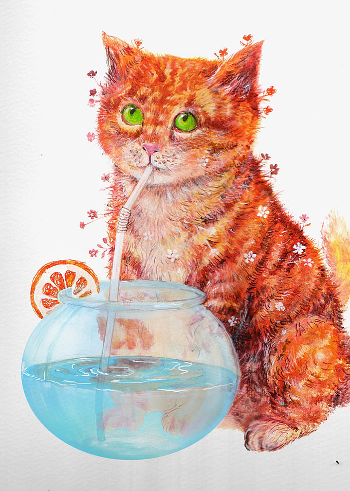 meow meow