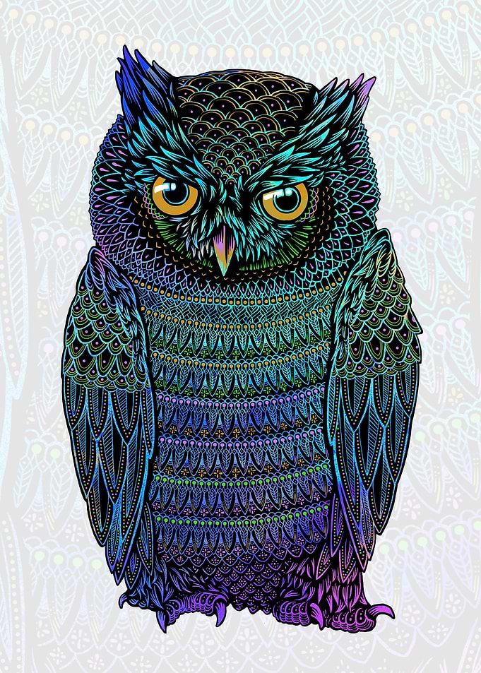 NEON OWL