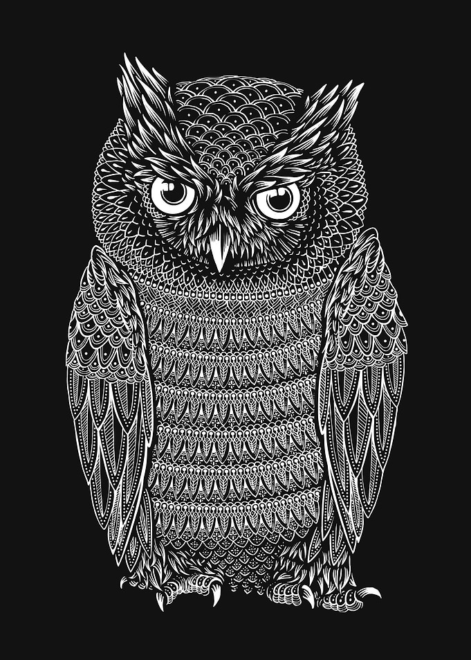 OWL BLACK