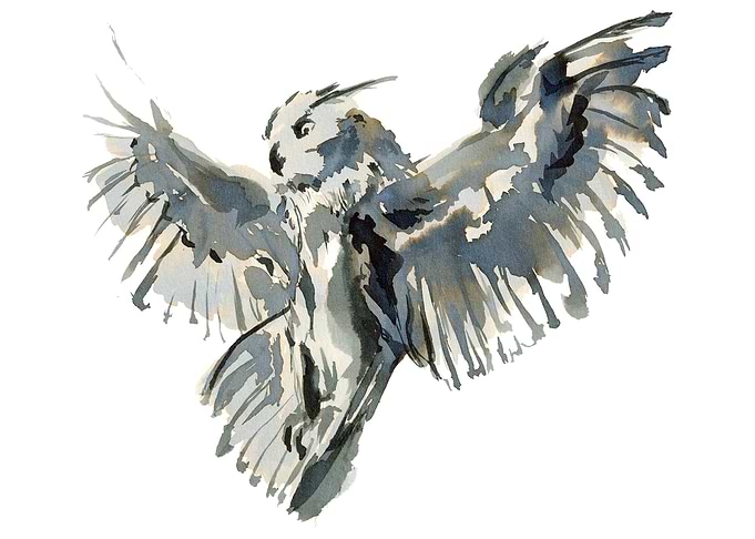 Royal owl. Bubo bubo