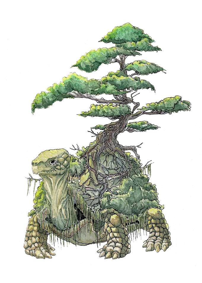 Turtle island.