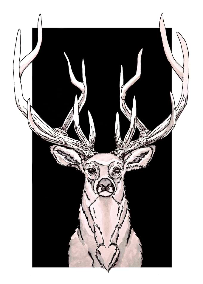 King of the forest.