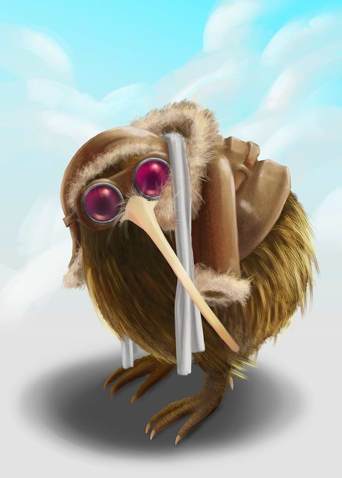 The Kiwi aviator.