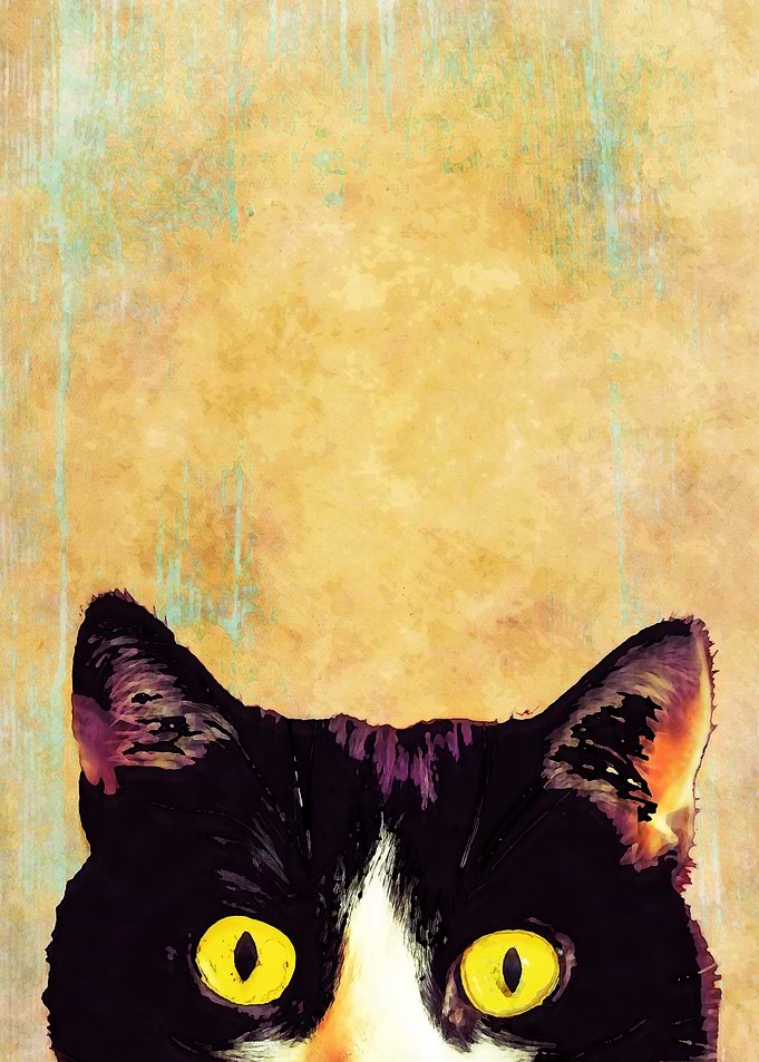 Hidden cat 1