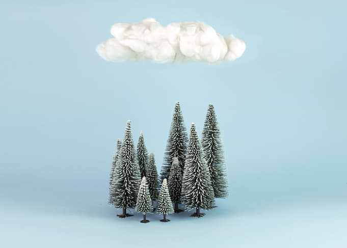 A cloud over the forest