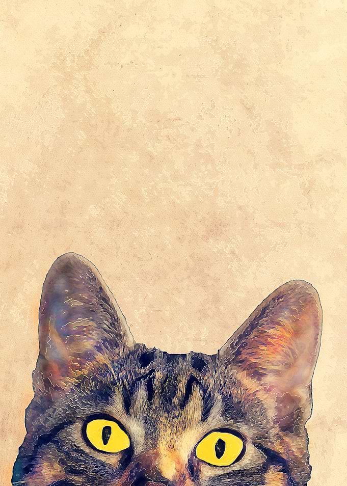 Hidden cat 2