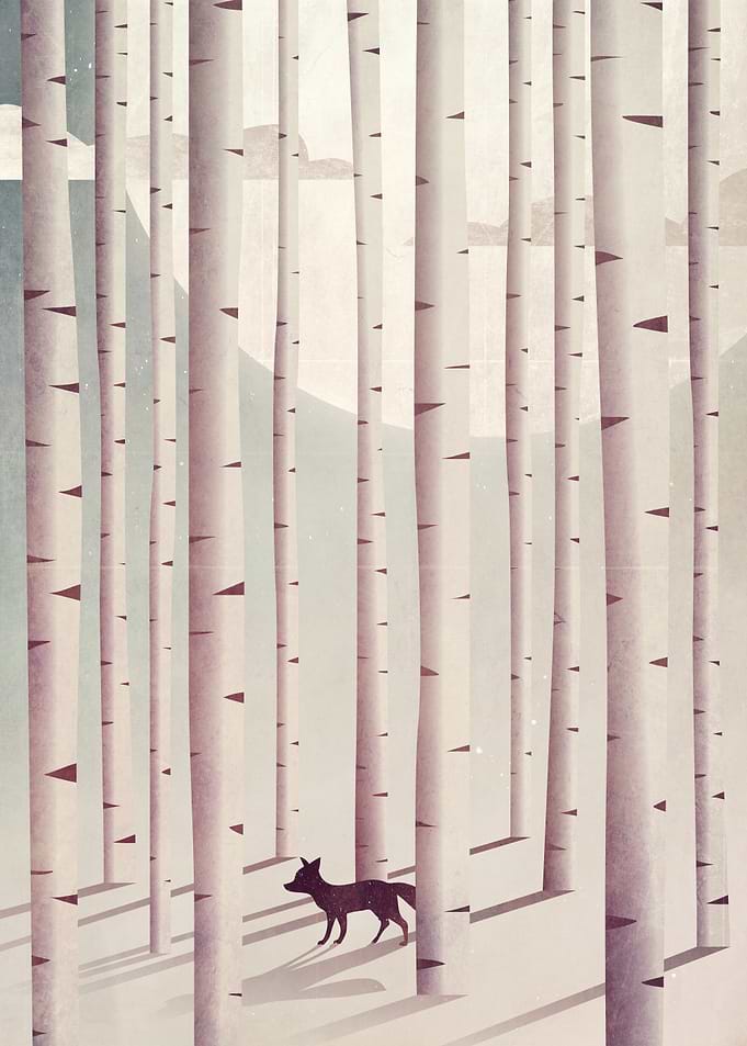 Serene Forest
