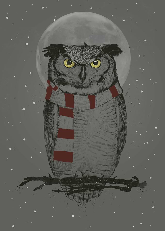Winter owl