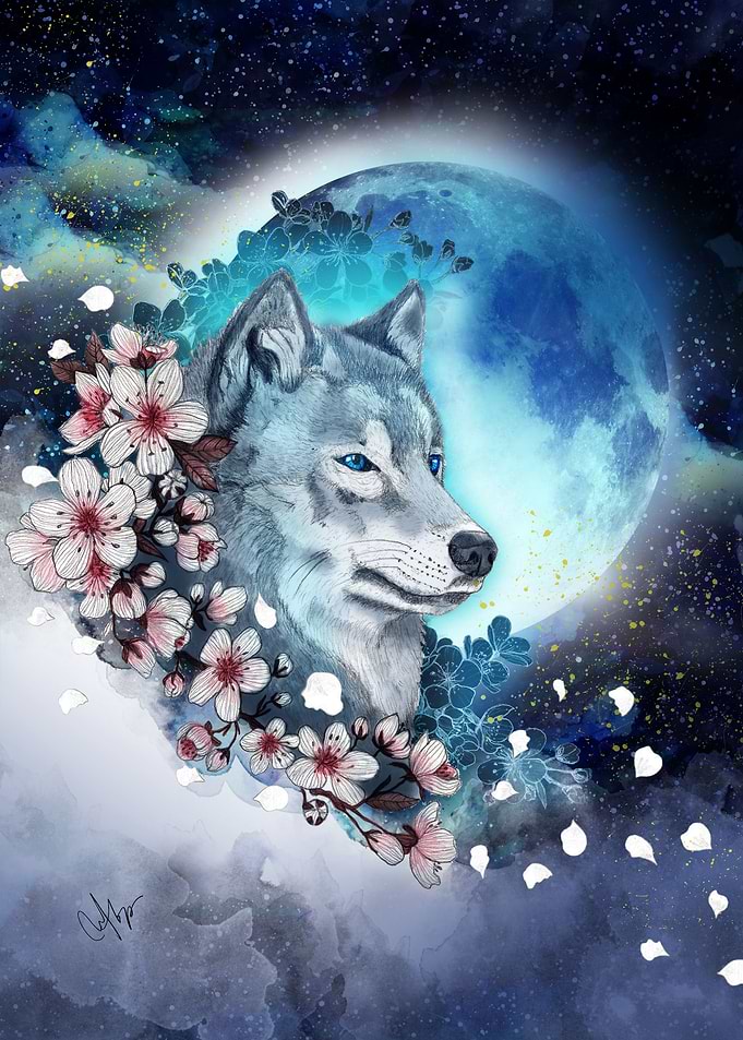 wolf and sakura in the moonlight