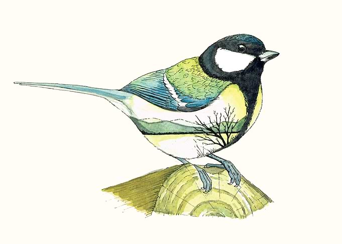 This is a mix between a bird and à landscape. hand draw ...