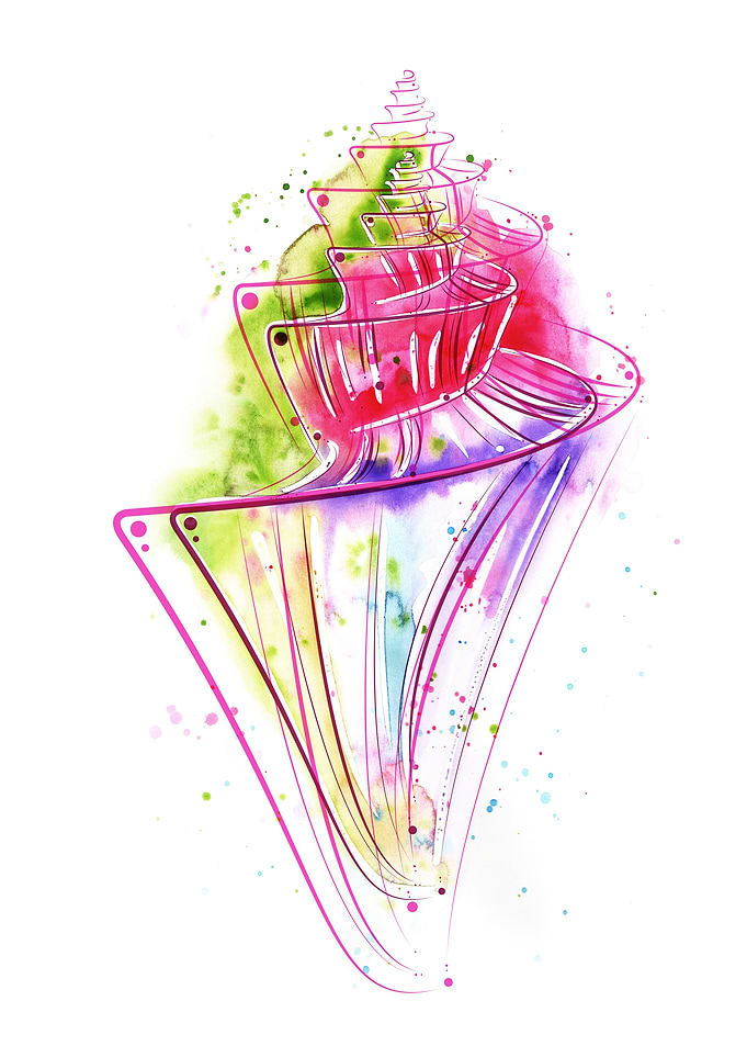 Colorful Shell