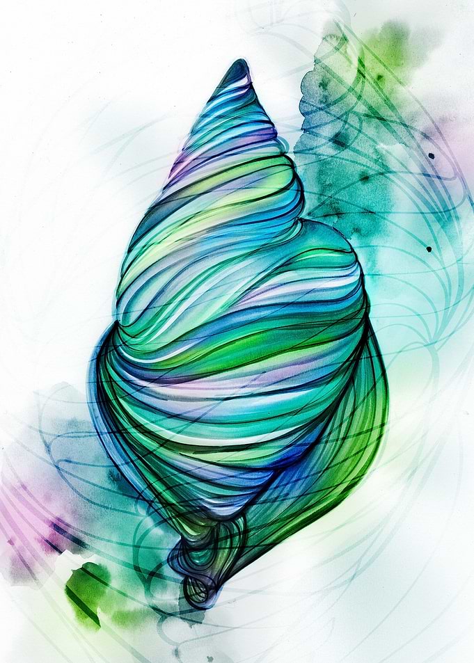 Shell