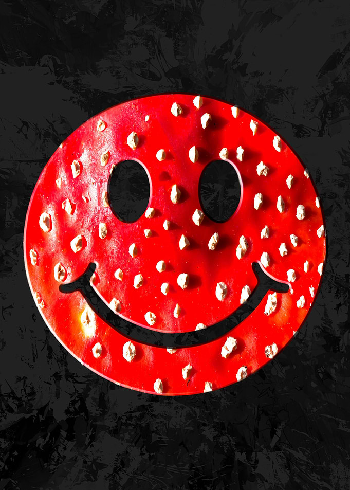 agaric smiley