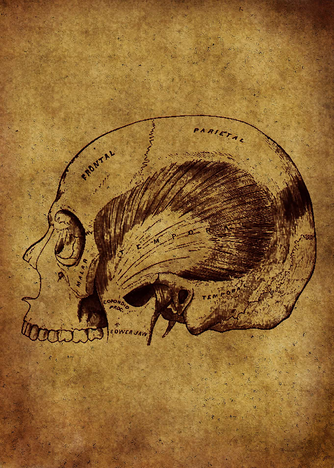Anatomic24