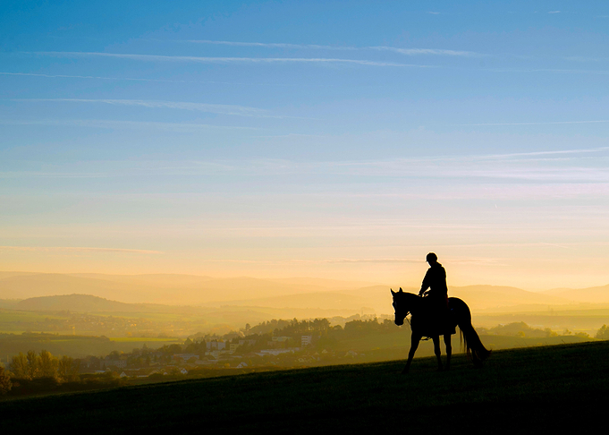 A rider on horseback