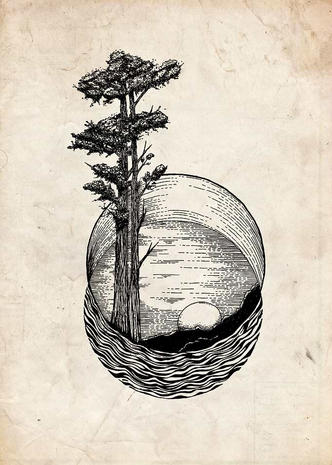 wild nature