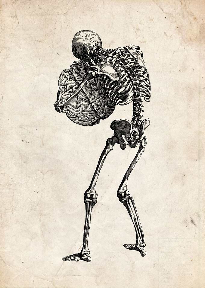 I love my brain somuch